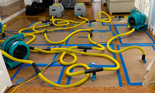 Professional Crawl Space Water Removal technician working in Wayne, IL